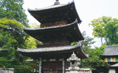 松山周辺10ヶ寺詣り（日帰り）